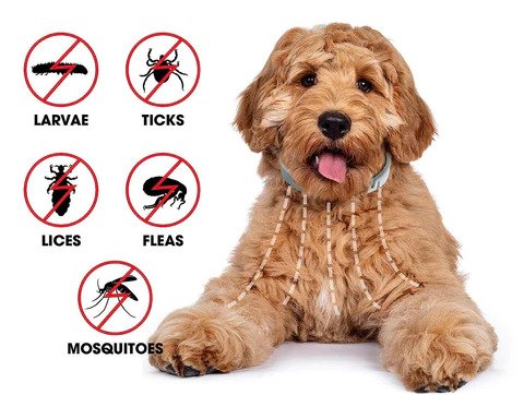 Seresto Flea and Tick Collar For Small, Large Dogs & Cats