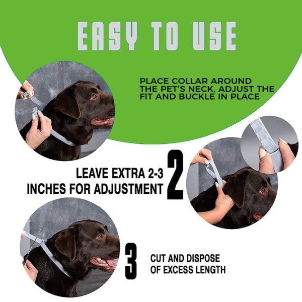 Seresto Flea and Tick Collar For Small, Large Dogs & Cats