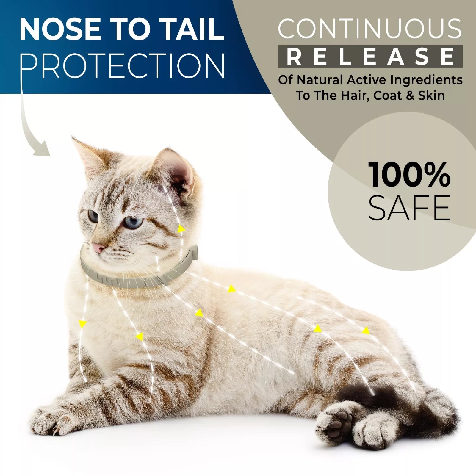 Flea and Tick Collar For Small, Large Dogs & Cats