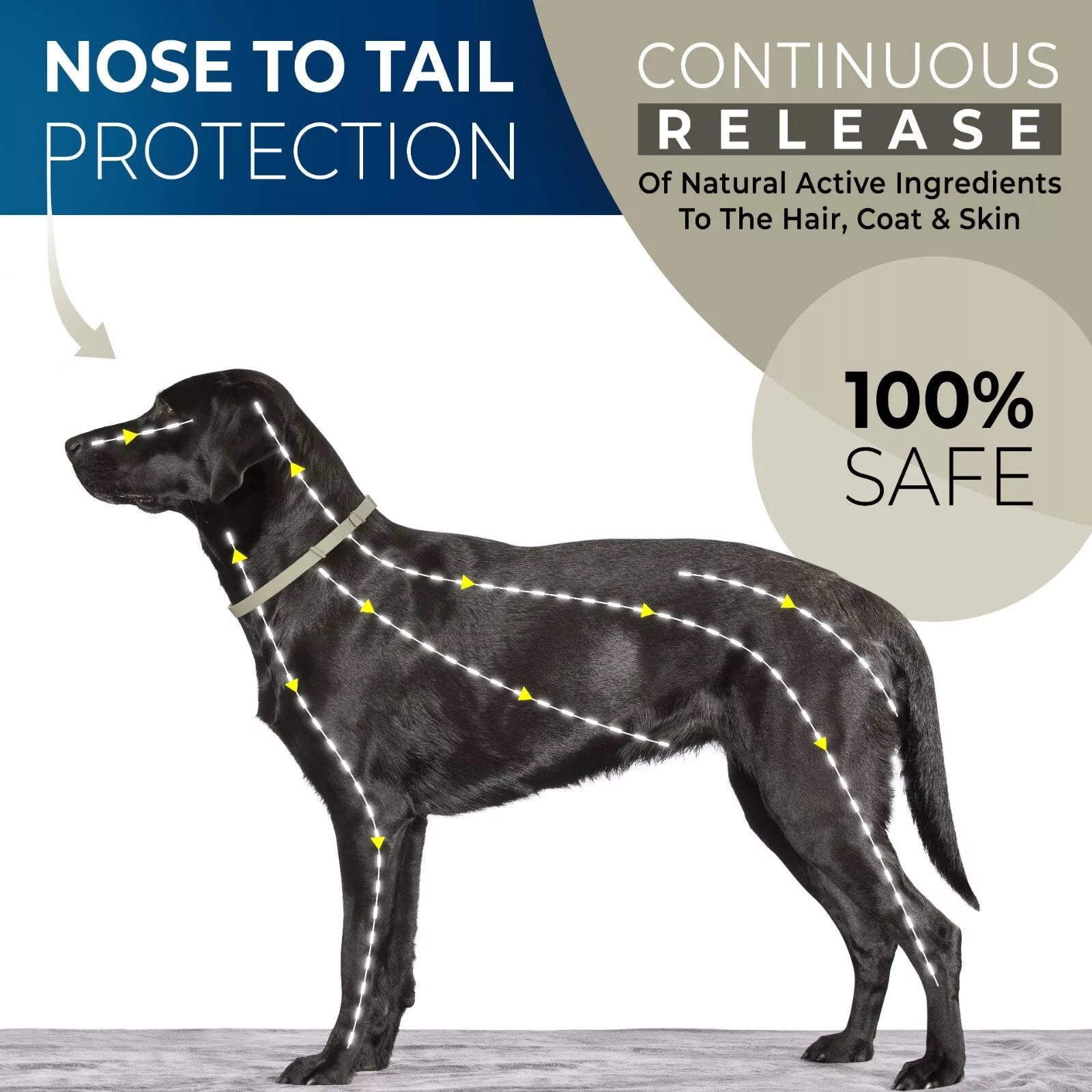 Flea and Tick Collar For Small, Large Dogs & Cats