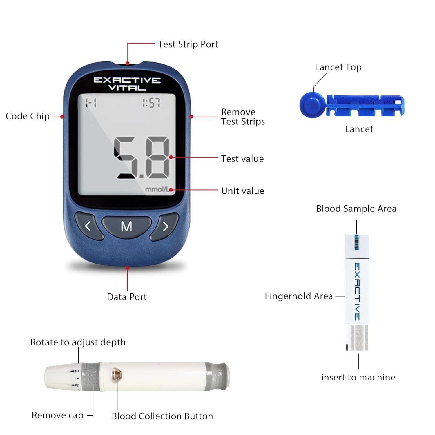 VITAL Blood Sugar Monitor